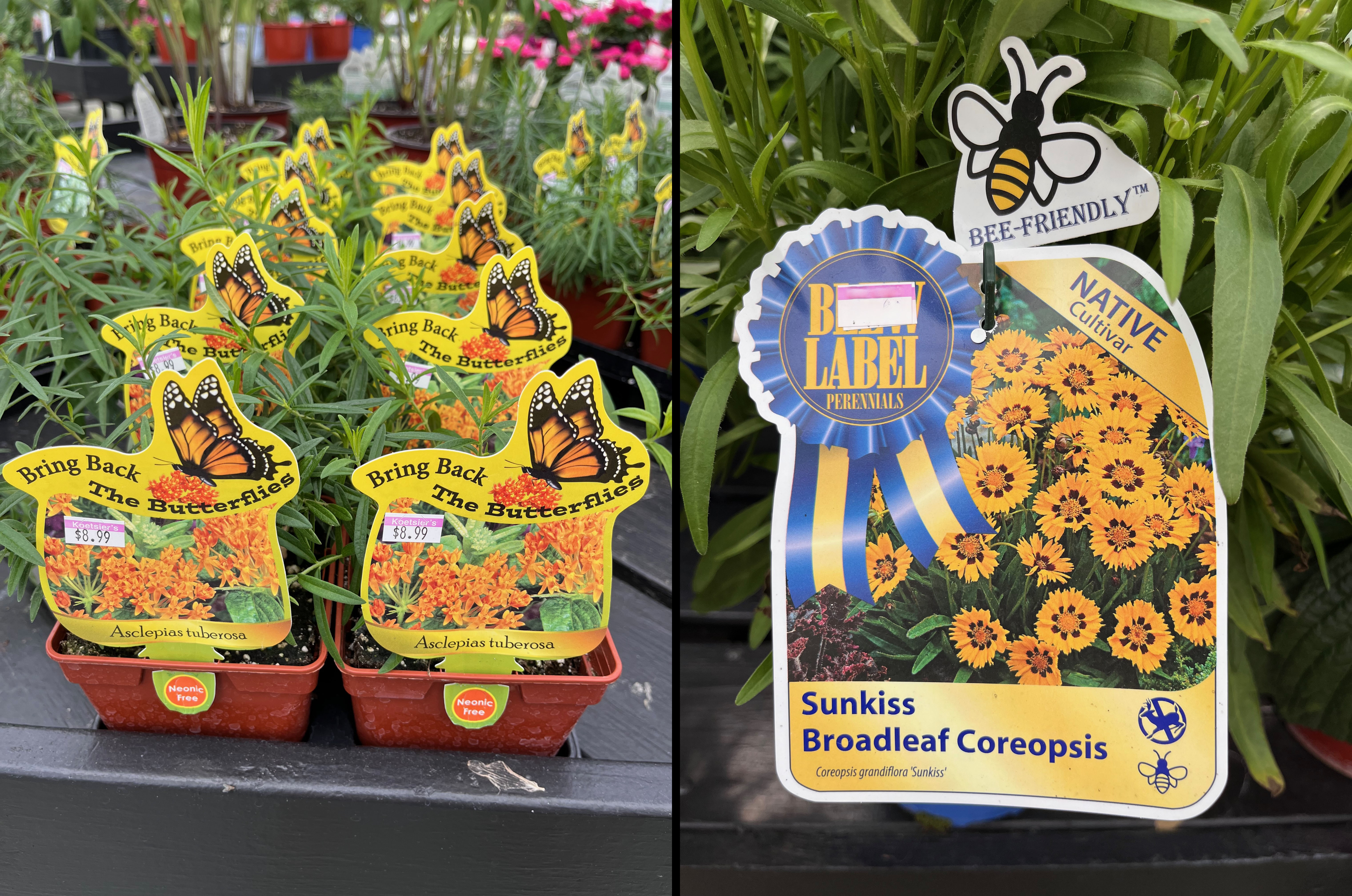 Pollinator friendly plant labels.